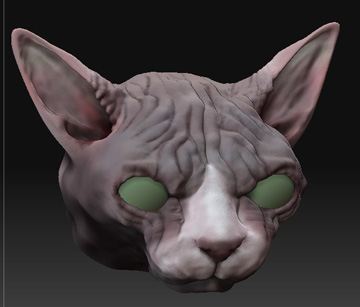 sphynxcatdiv6.jpg