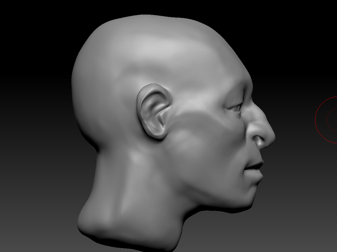 MaleHeadStudy001 3