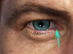 eye_L.jpg