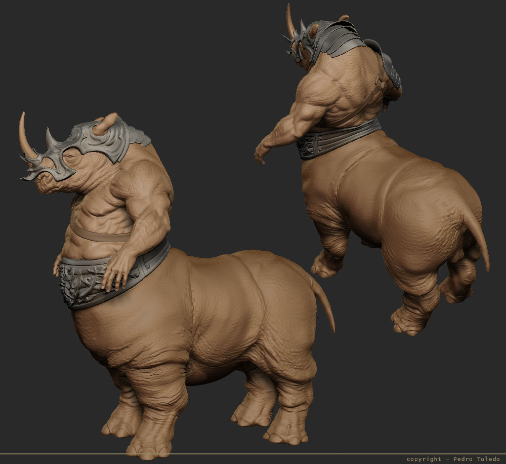rhino-12.jpg