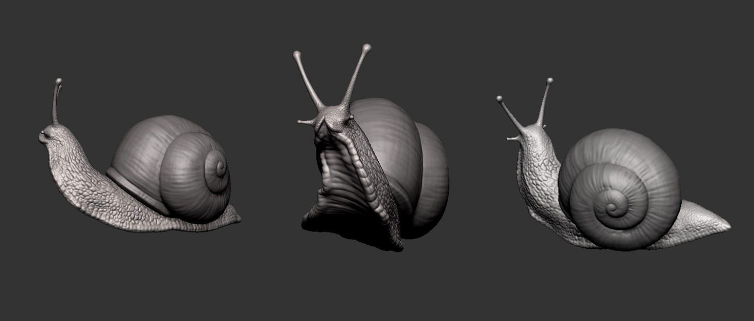 compE_snail_zbrush