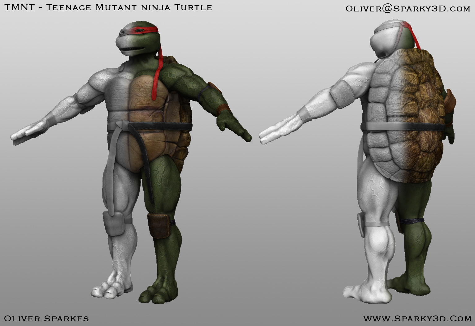 Turtle_composit_half_colour.jpg