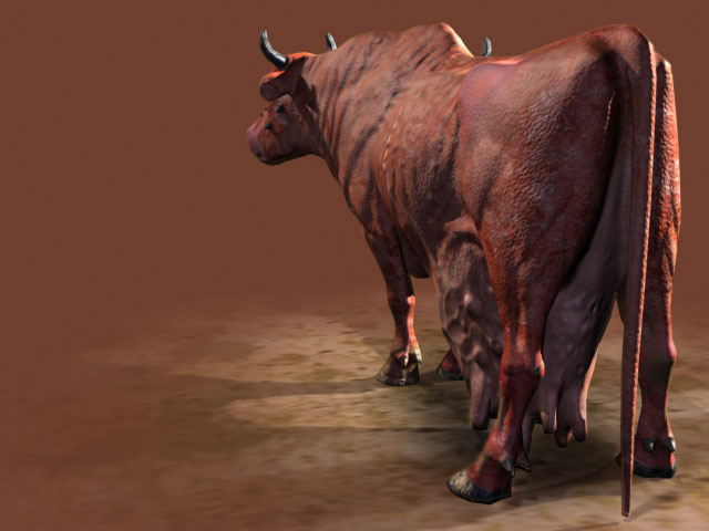 brahmin_3.jpg