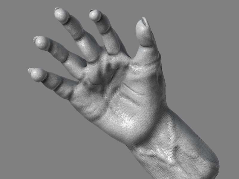 ZBrush hand.jpg