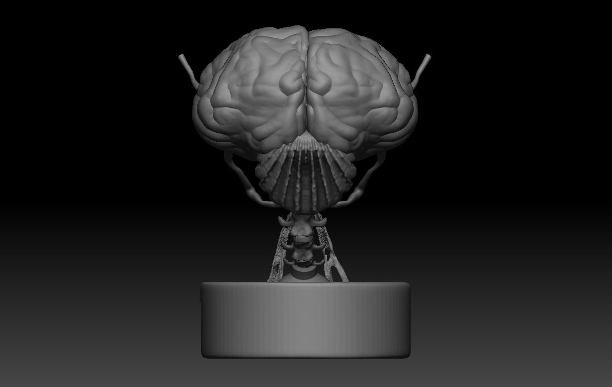 atras zbrush.jpg