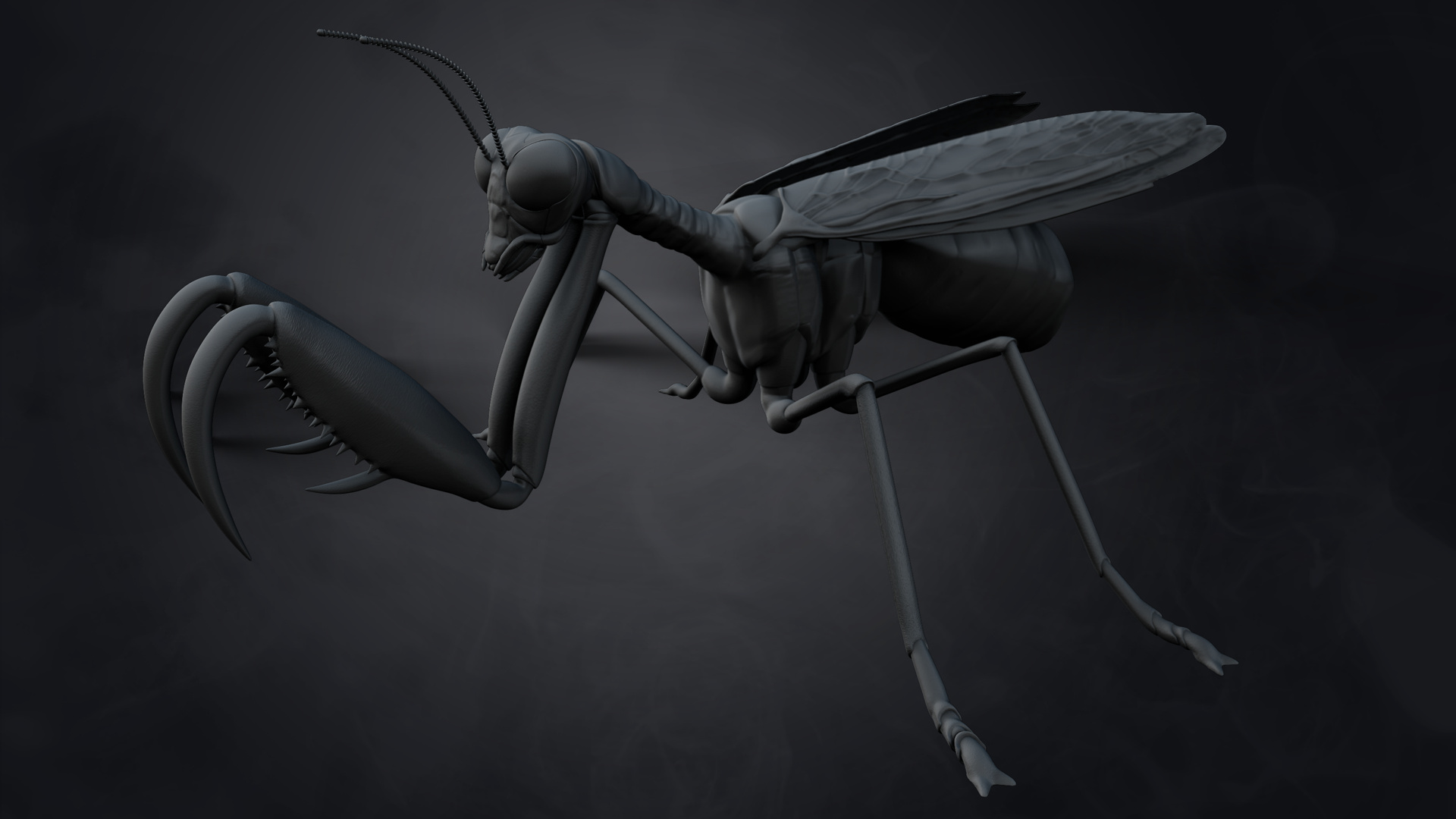 Mantidfly_Three_quarter.jpg