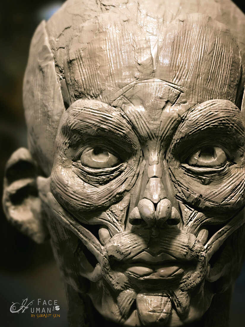 Human face_Digital_Sculpture_SurajitSen_Jan2022_L