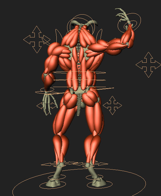 minotaurAnatomyBack.jpg