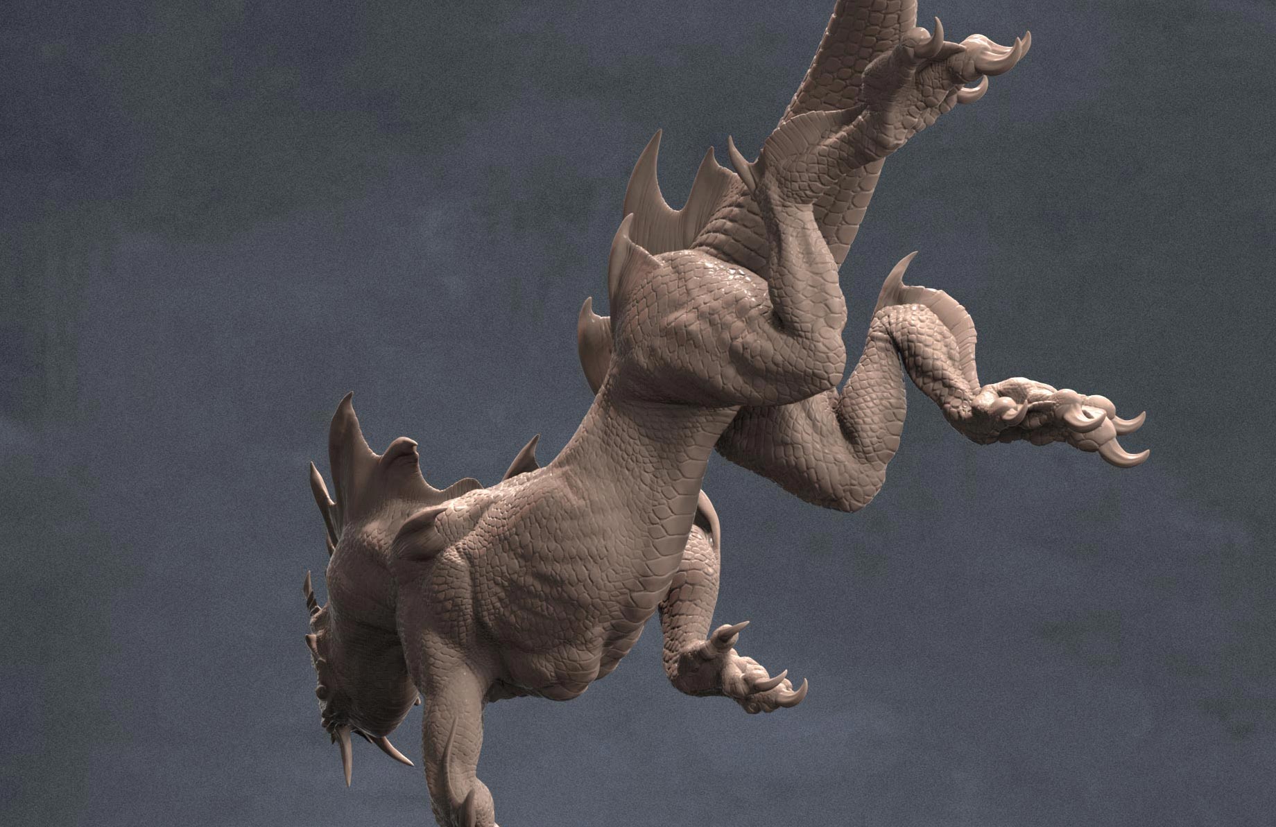 S_rathaless_detail_2.jpg