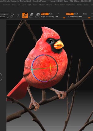 CardinalPlacement.jpg