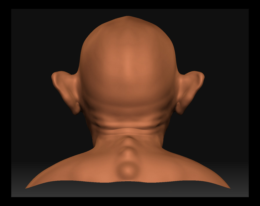 back_1 copy.jpg
