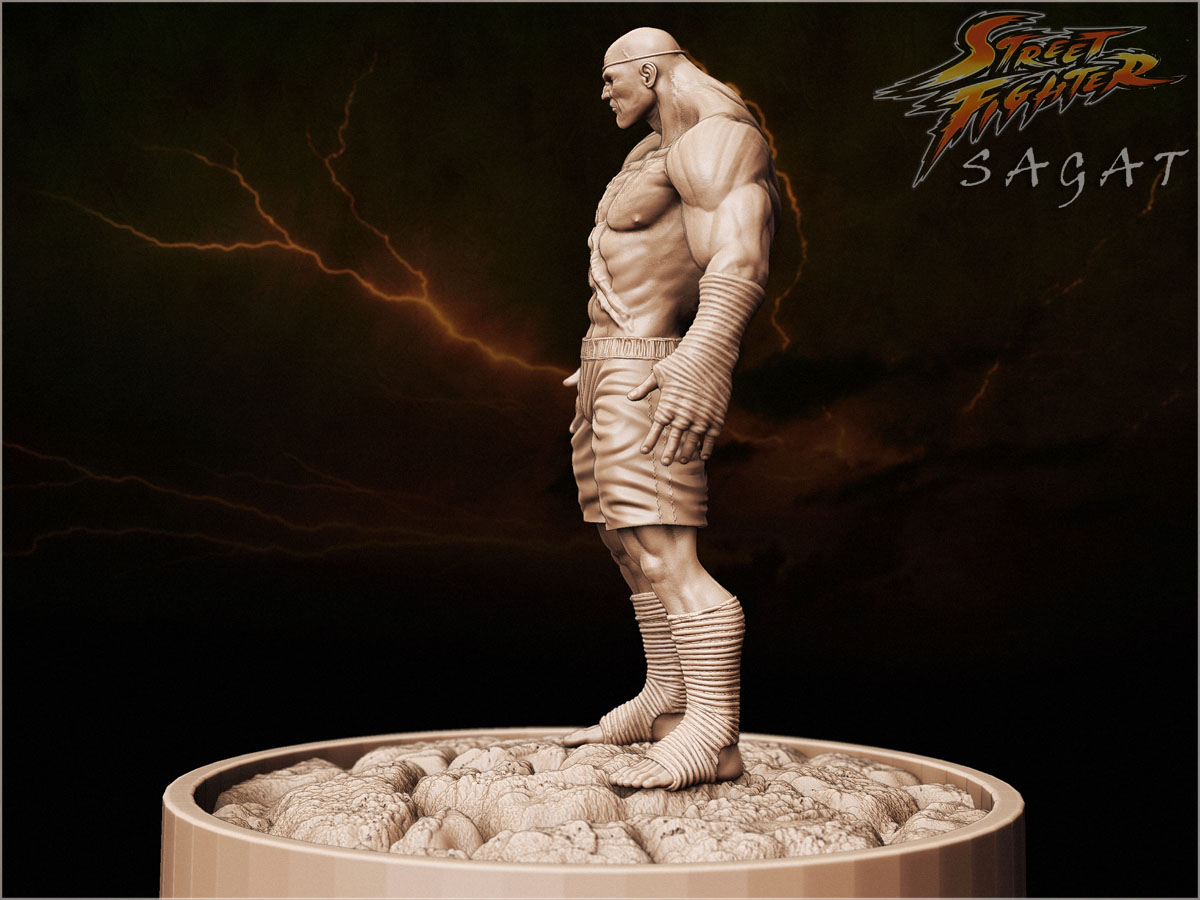 Sagat High Res 2.jpg