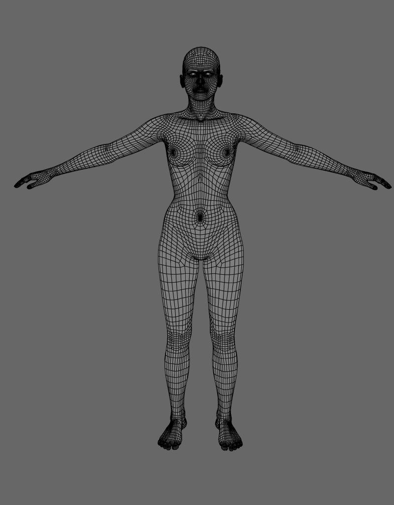 female_topology.jpg