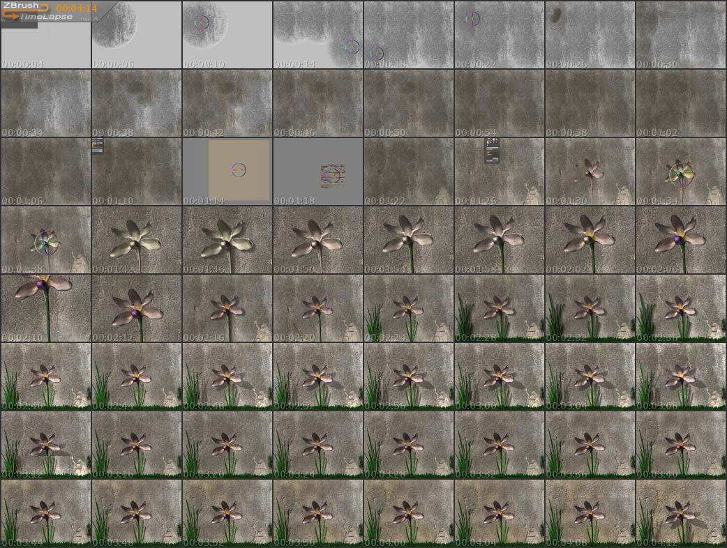 FlowerTL.jpg