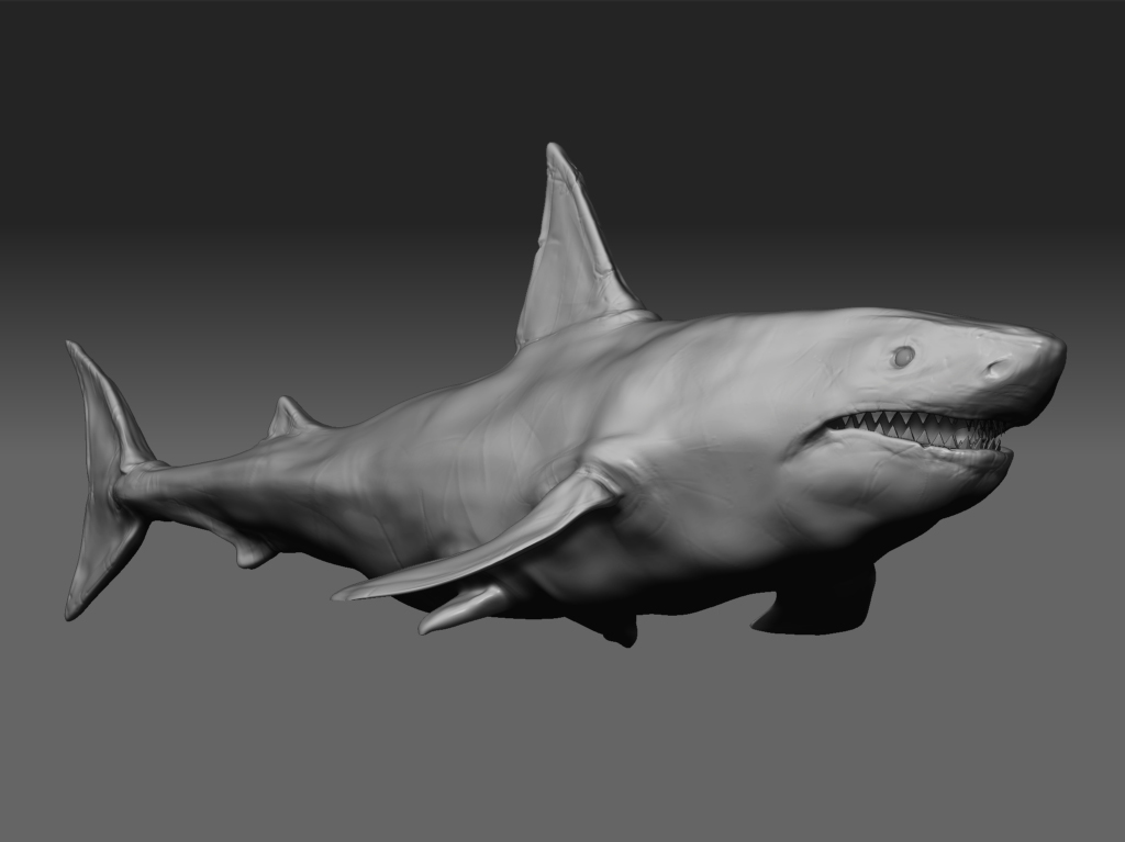 shark_grey.jpg