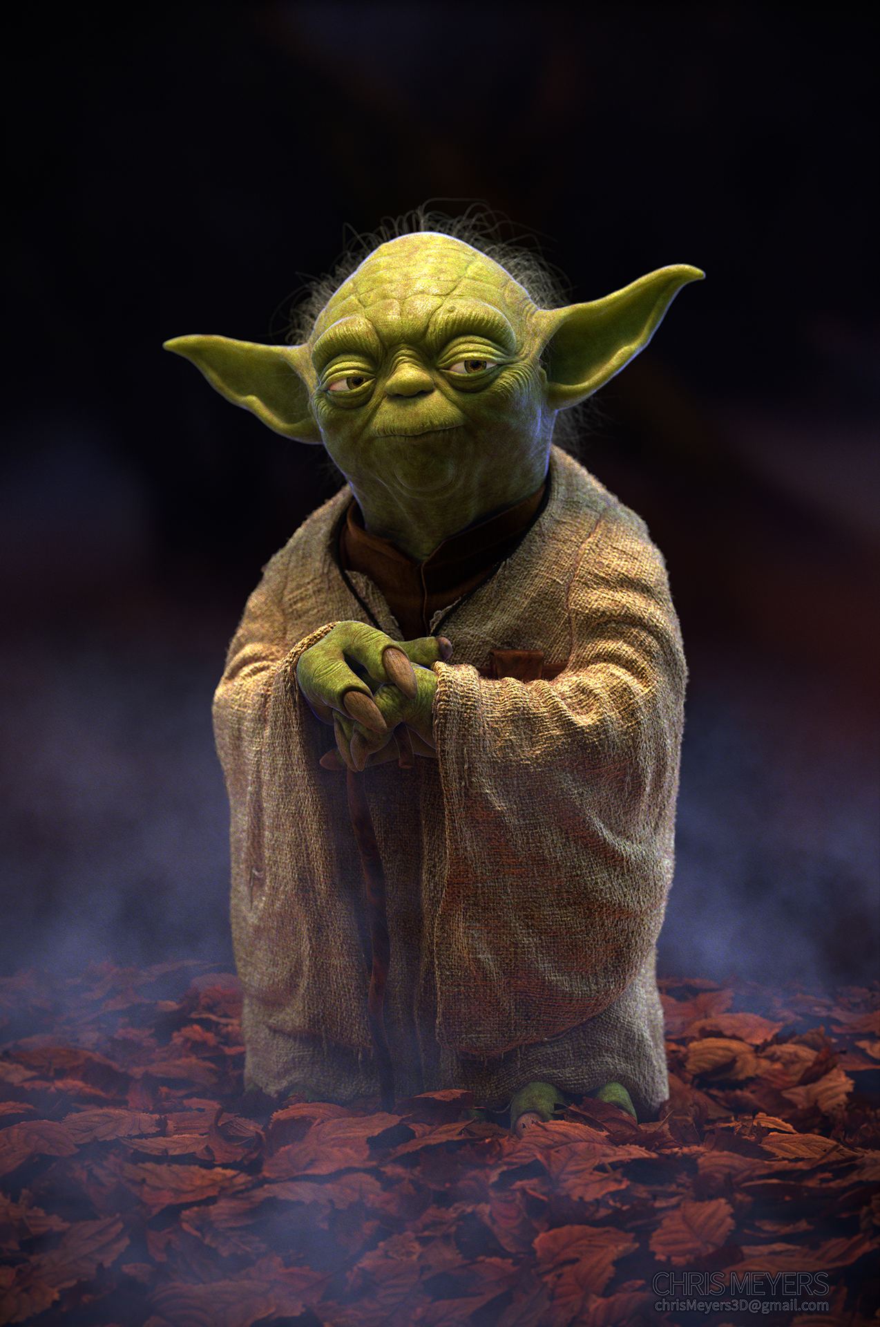 chris-meyers-yoda-v03-lrg.jpg