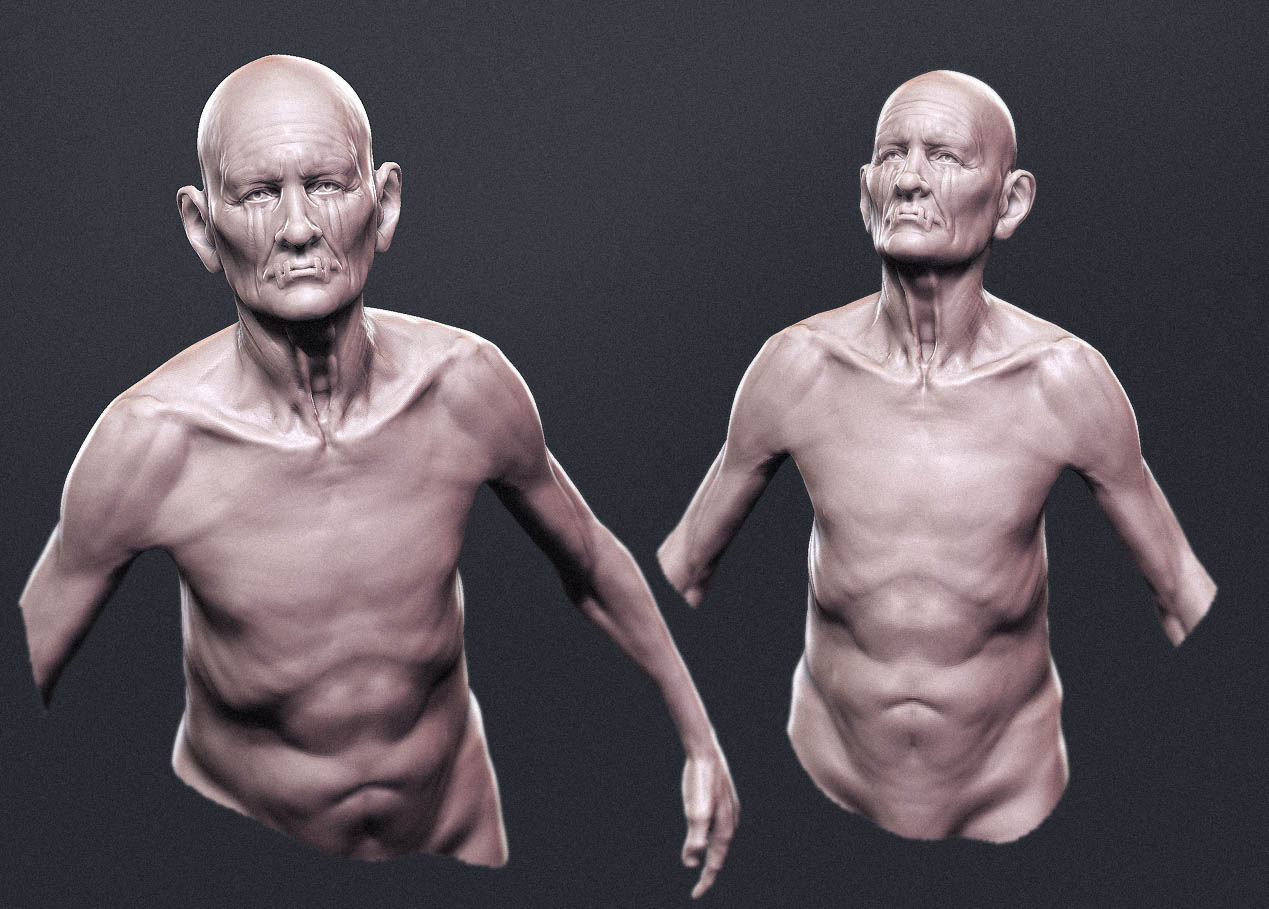 torso003.jpg