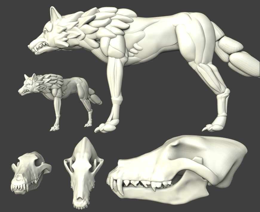 wipshowing