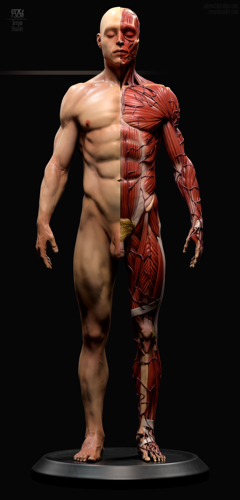 SergioHualde_Ecorche12