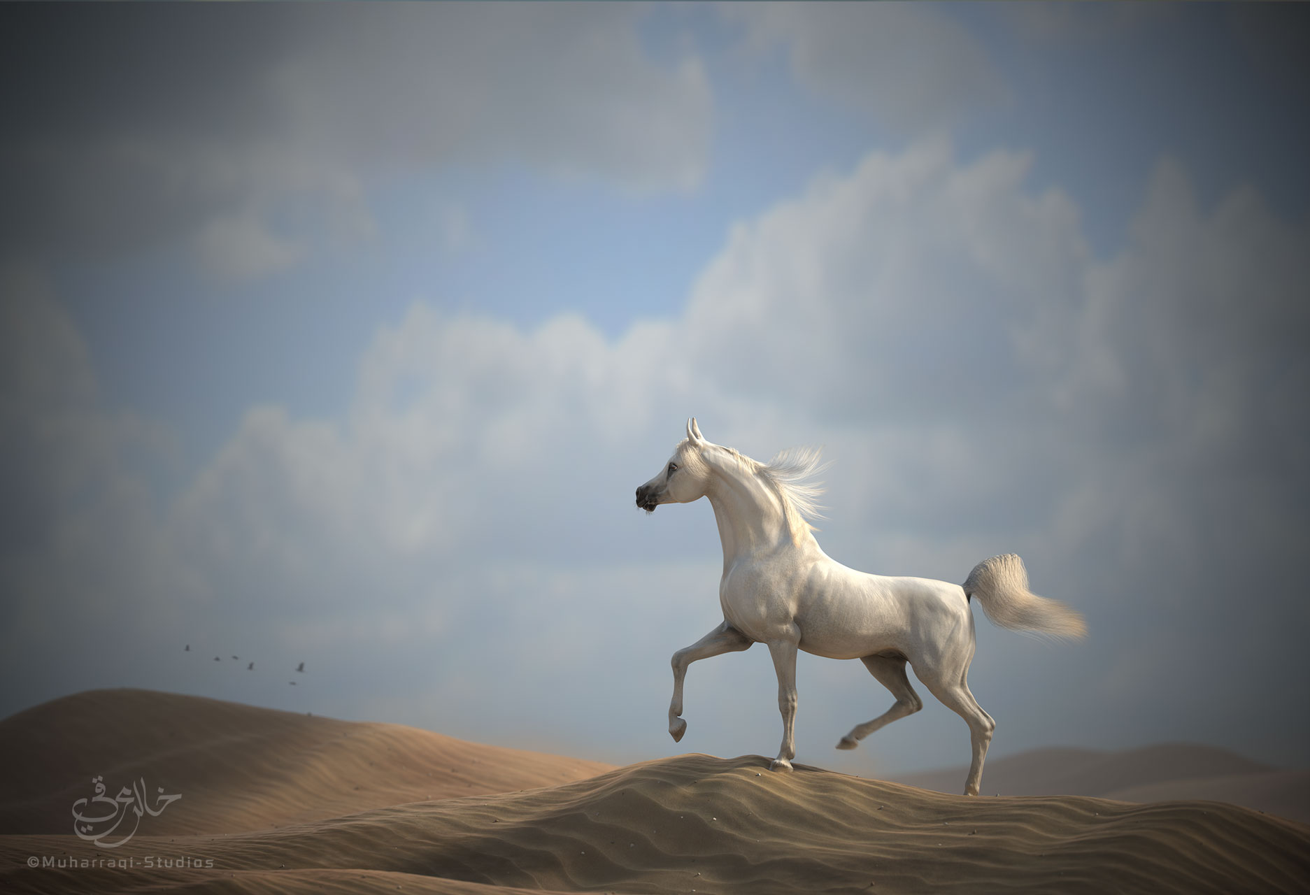 arabians_horse2.jpg