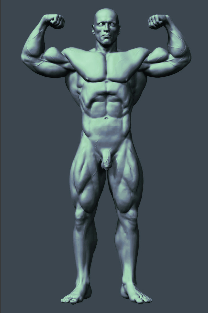 arniWip.JPG
