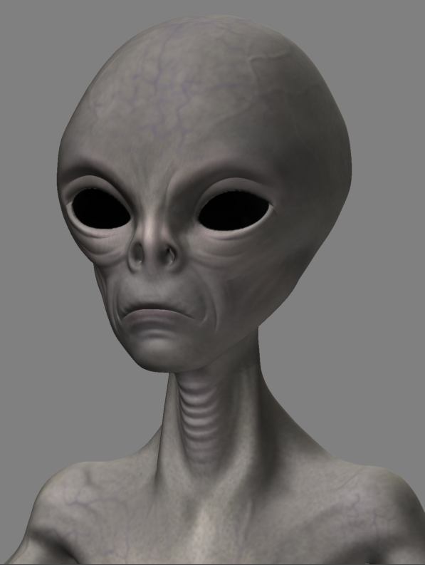 Wip5.JPG