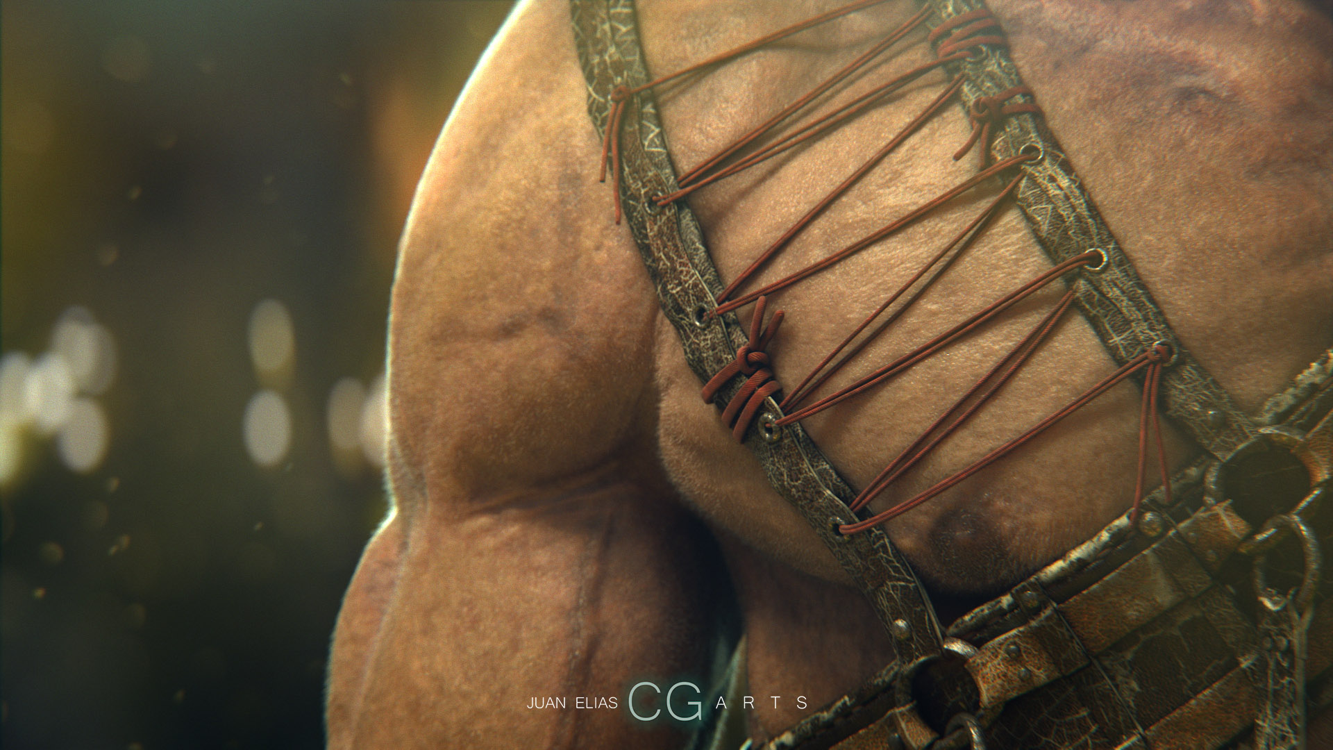 Chest_closeup.jpg