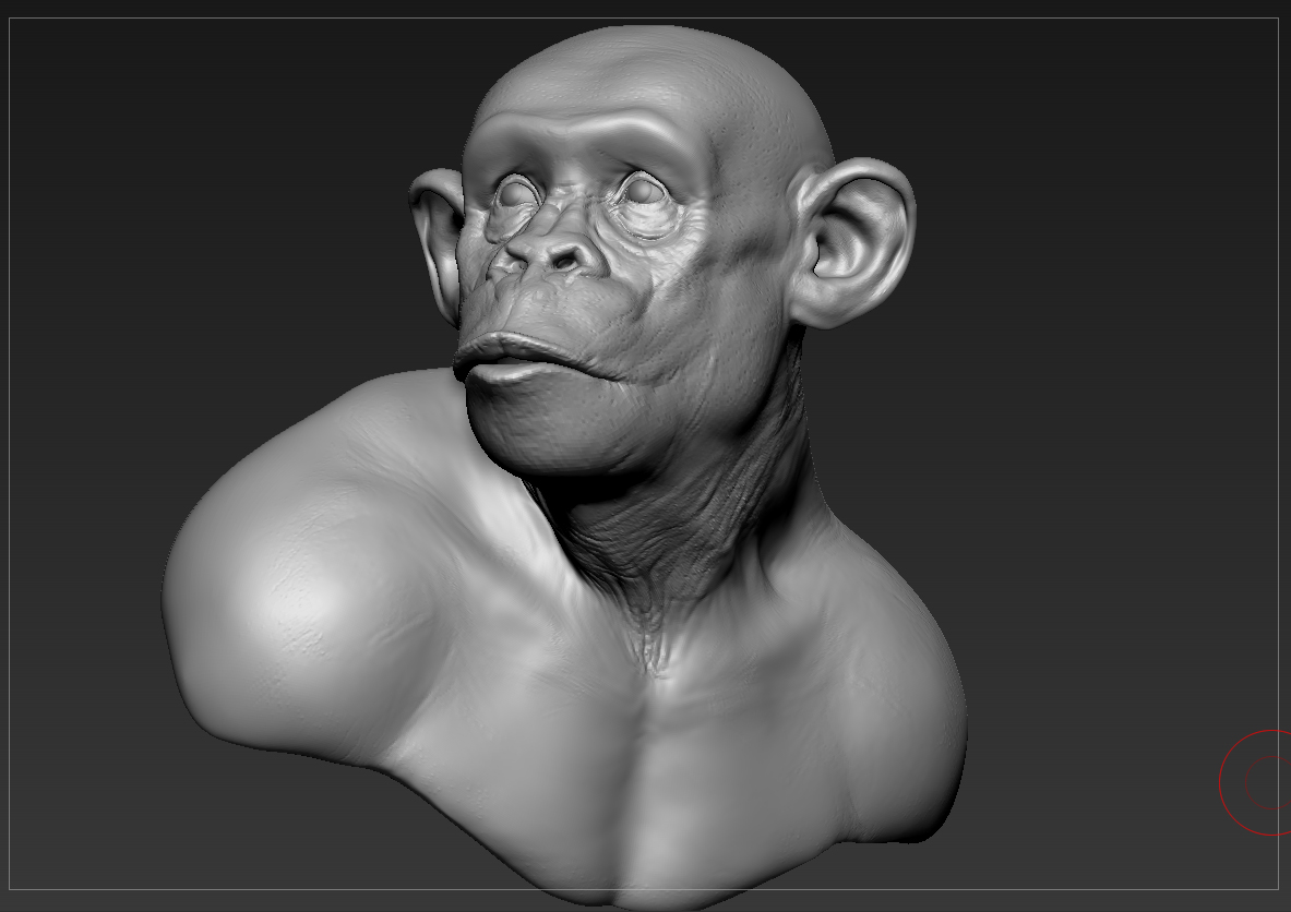 Chimp_0006