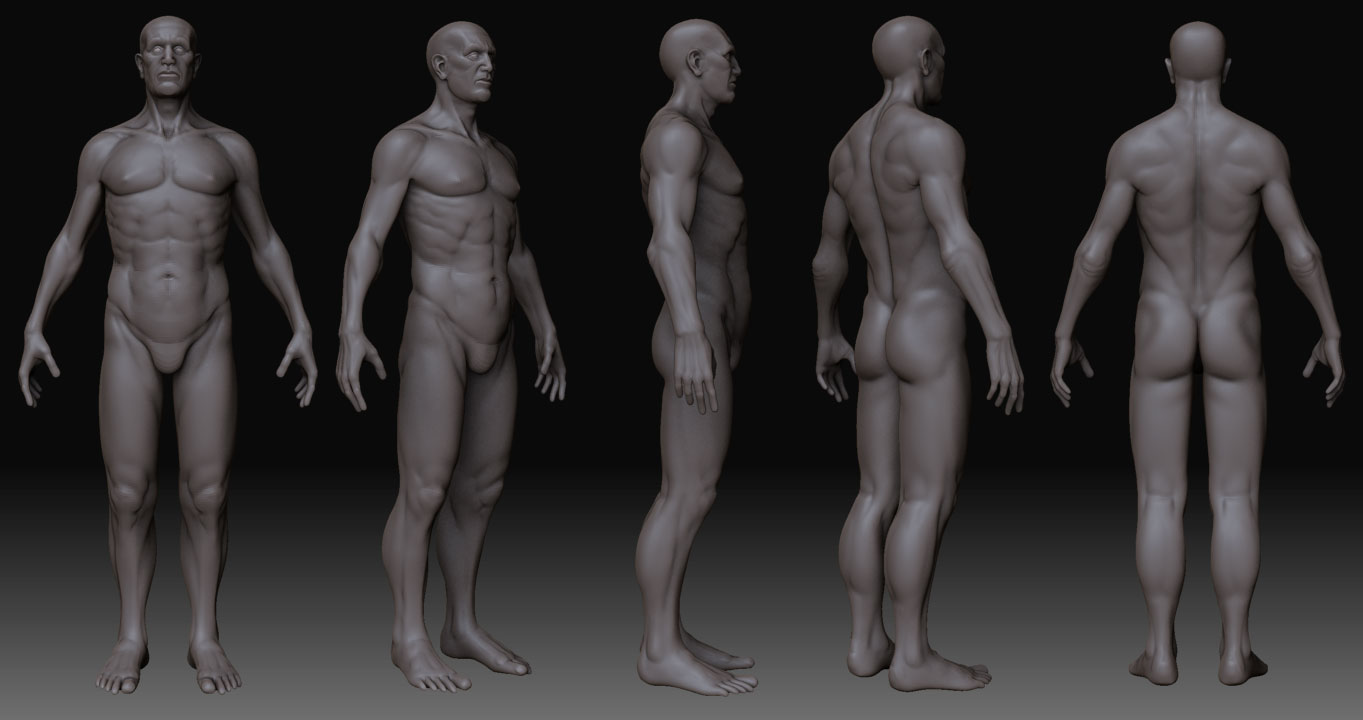 male_anatomy01.jpg