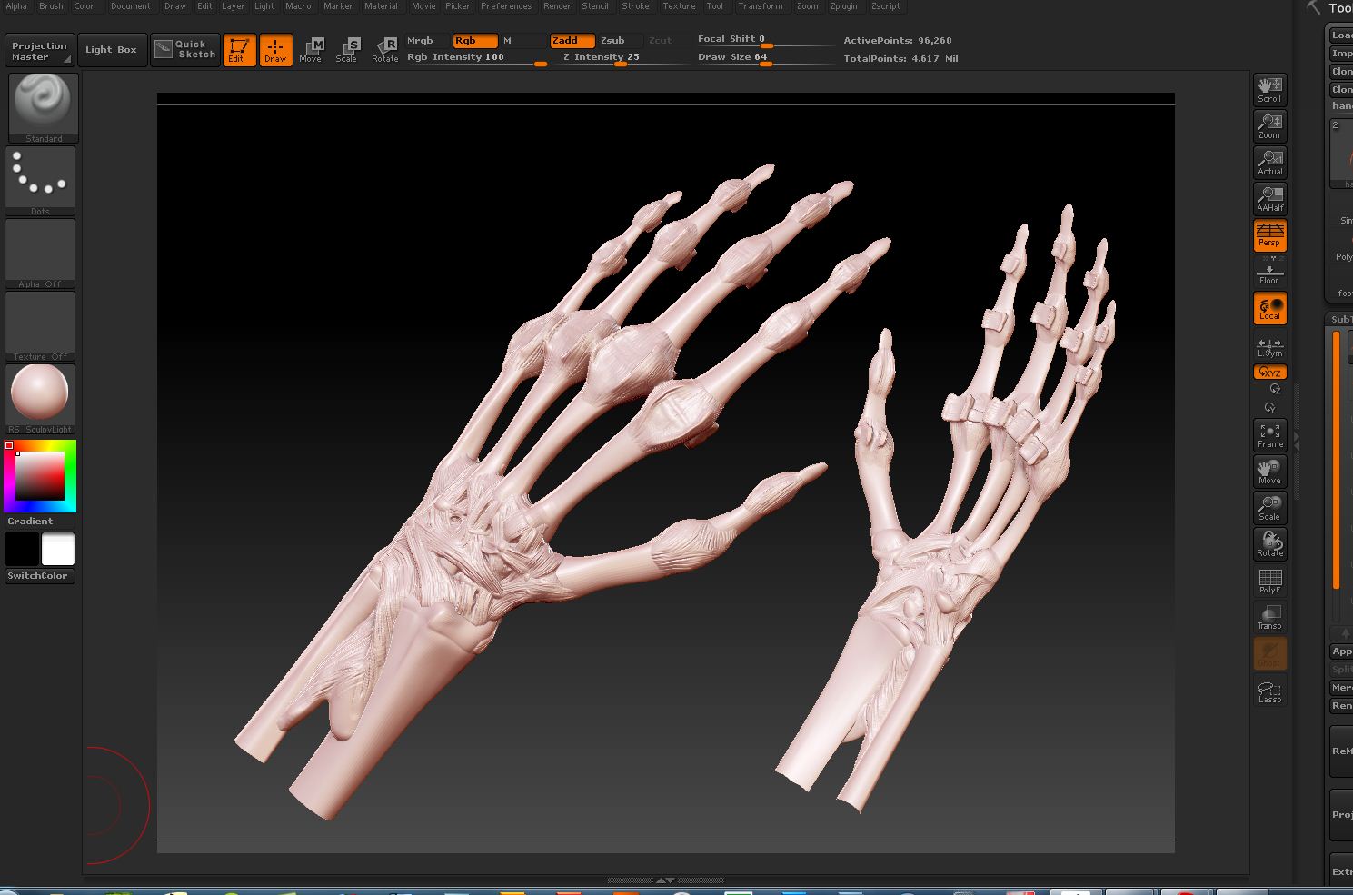 hands tendons.JPG
