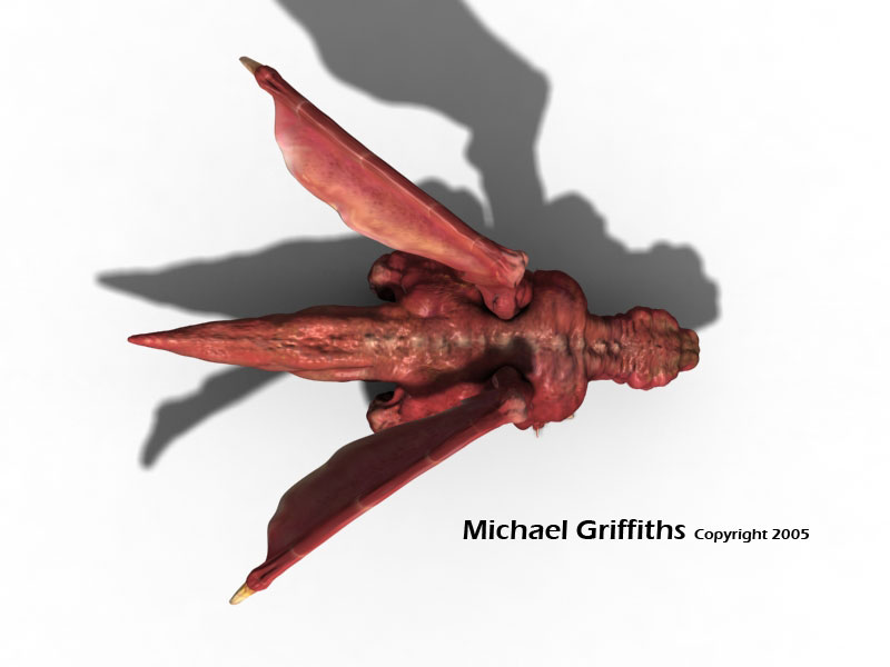 dragon5.jpg
