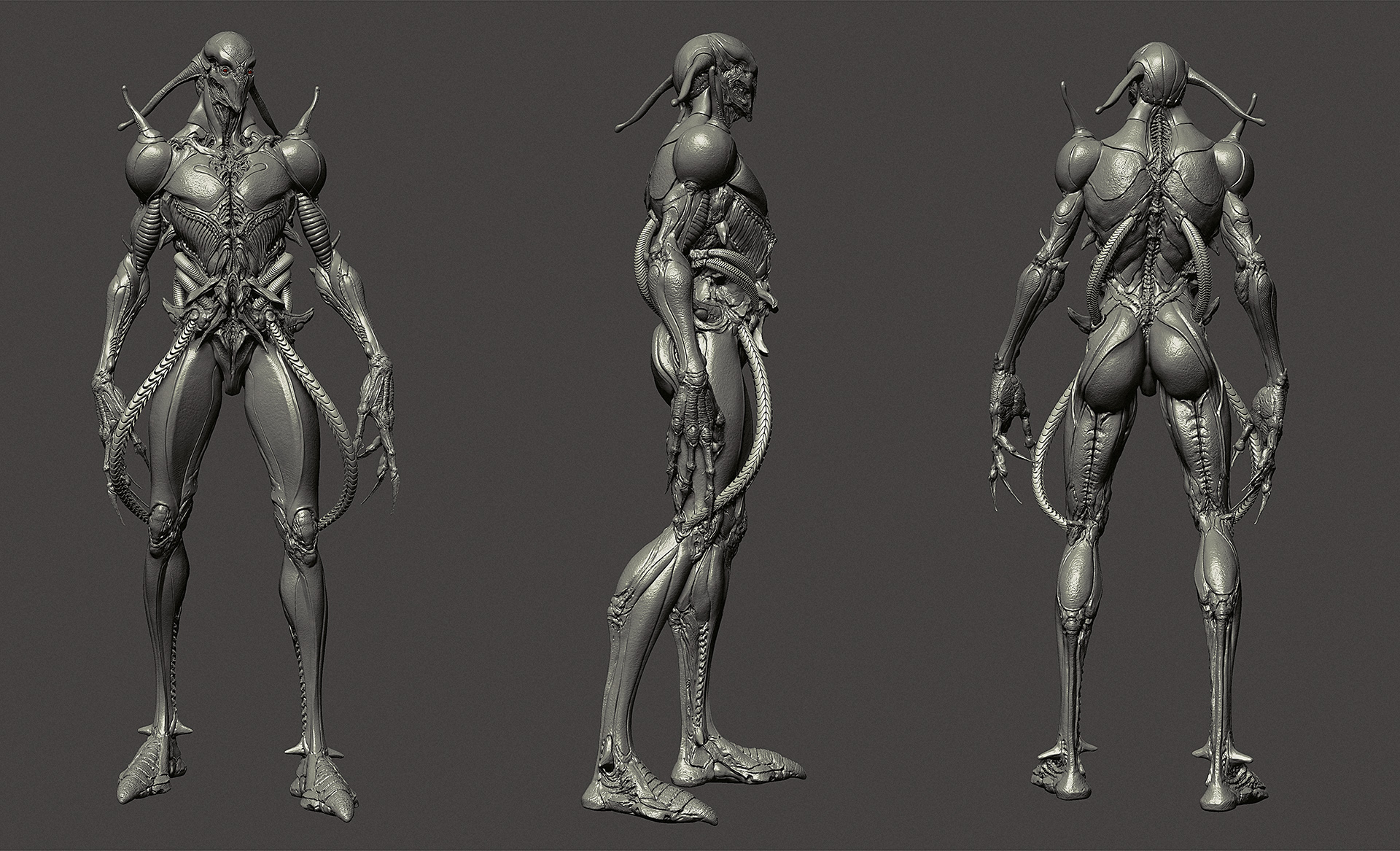 concept01_screen01_small.jpg