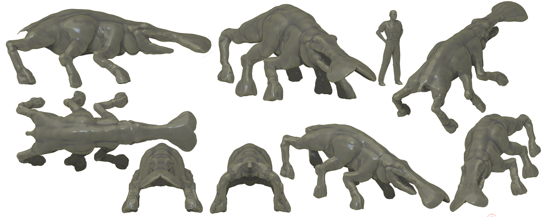 hippo 001 s.jpg