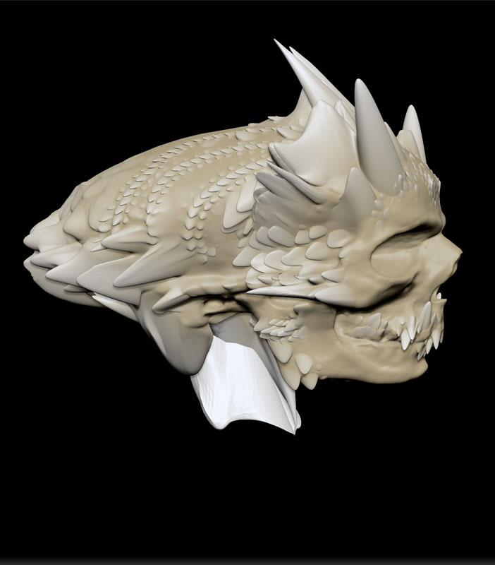 SCALED SKULL 2.jpg