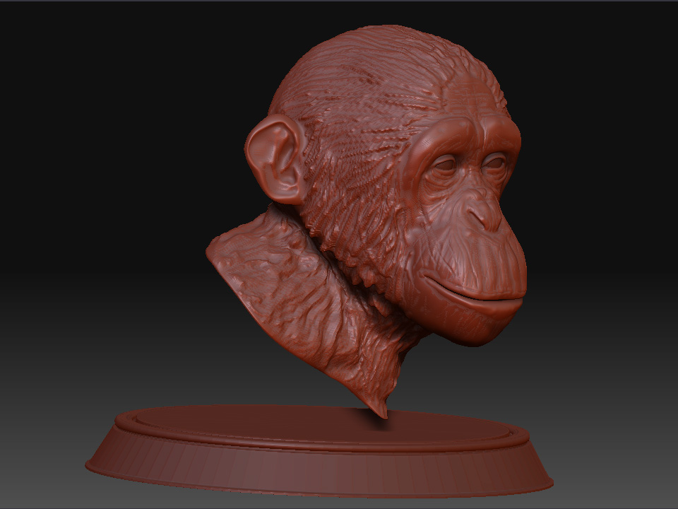 Chimp_ZBRUSH3_02.jpg