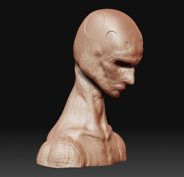 face1.jpg