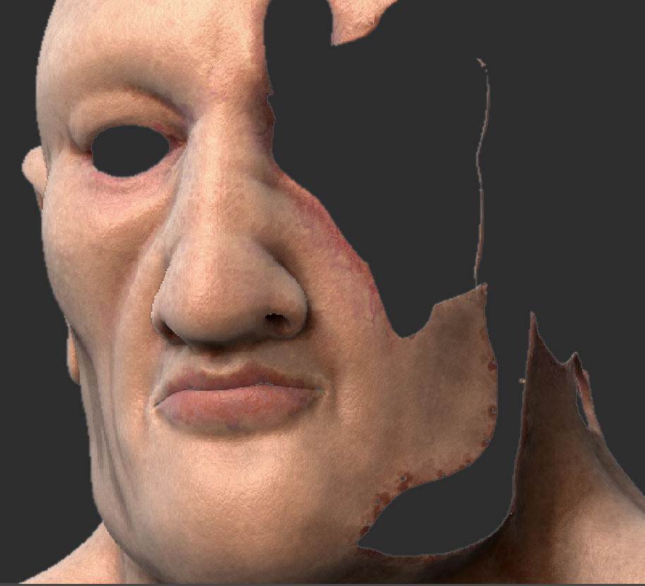 BionicFaceZB3.jpg