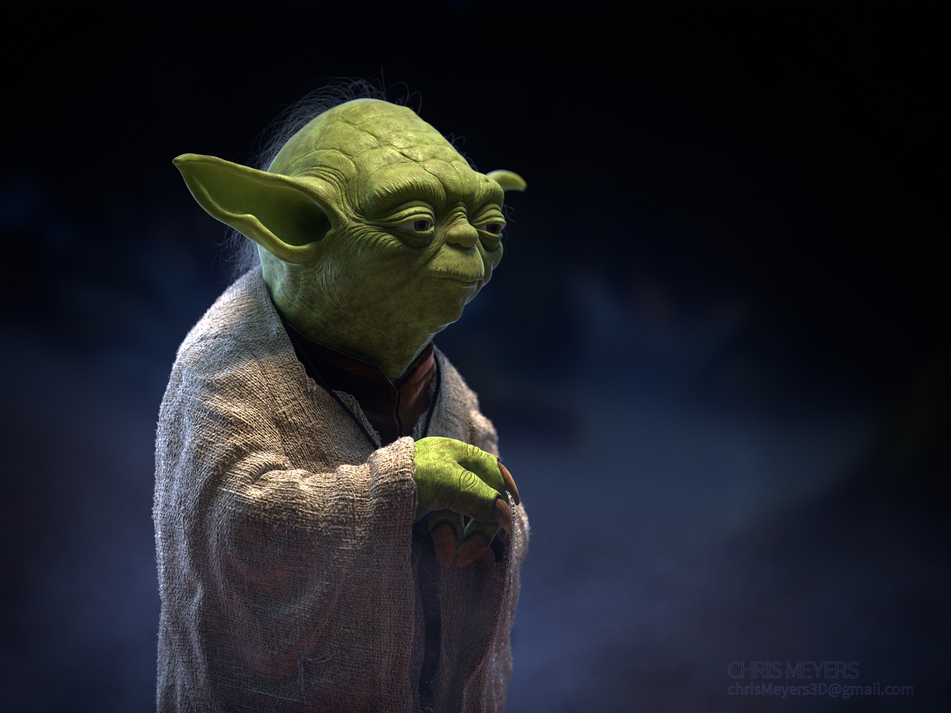 chris-meyers-Yoda-still-01.jpg