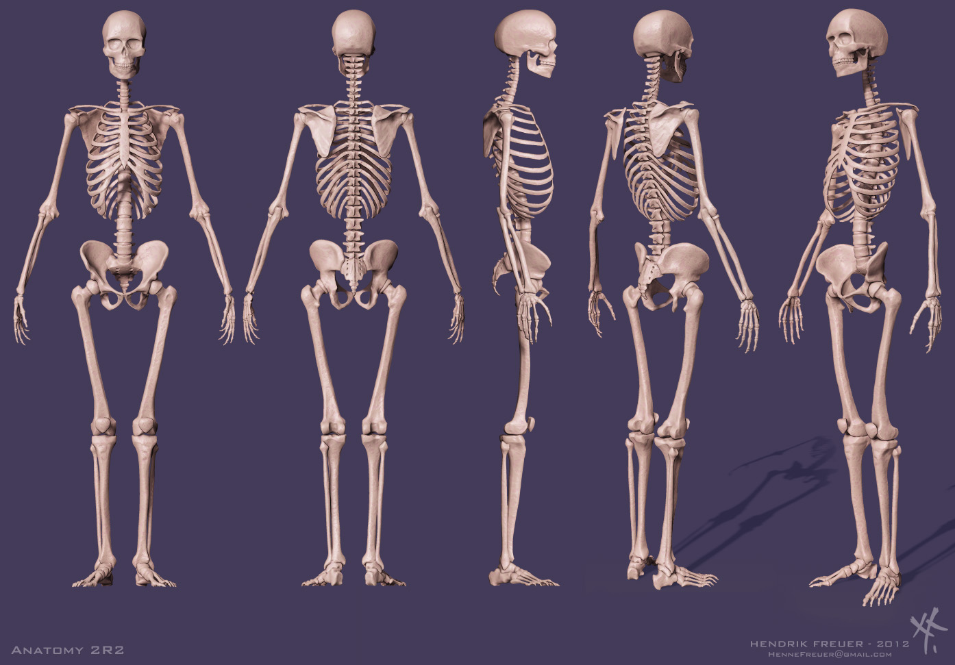 A2R2_Skeleton.jpg