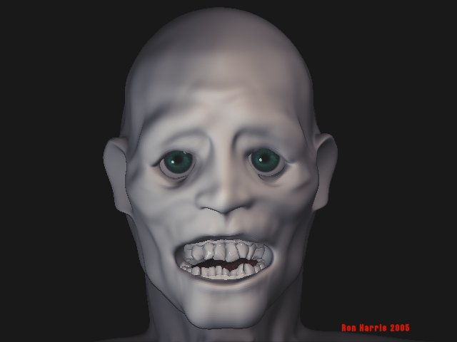 Nov7head123J.jpg