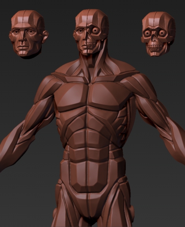 Torso.jpg