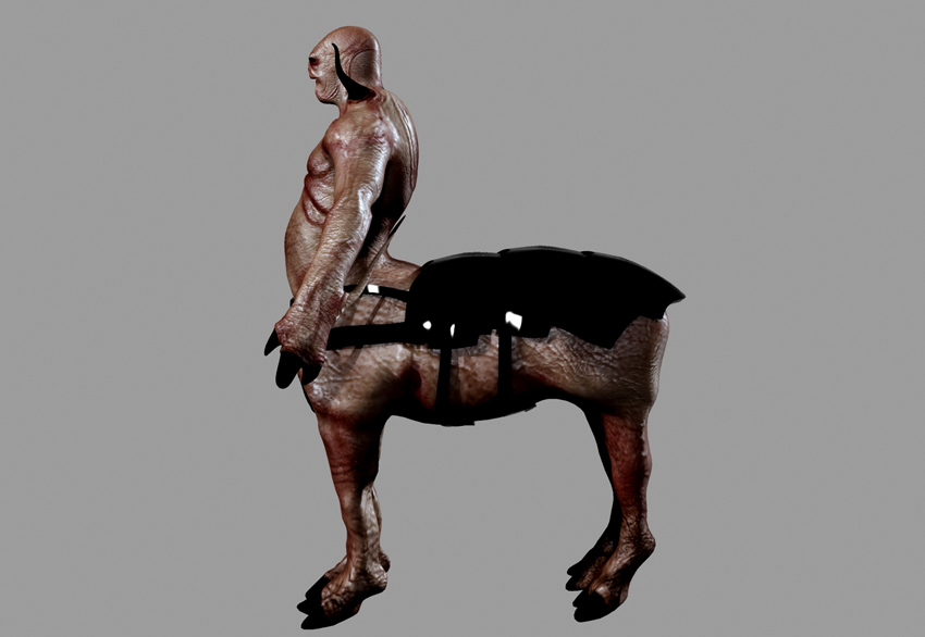 62626.jpg