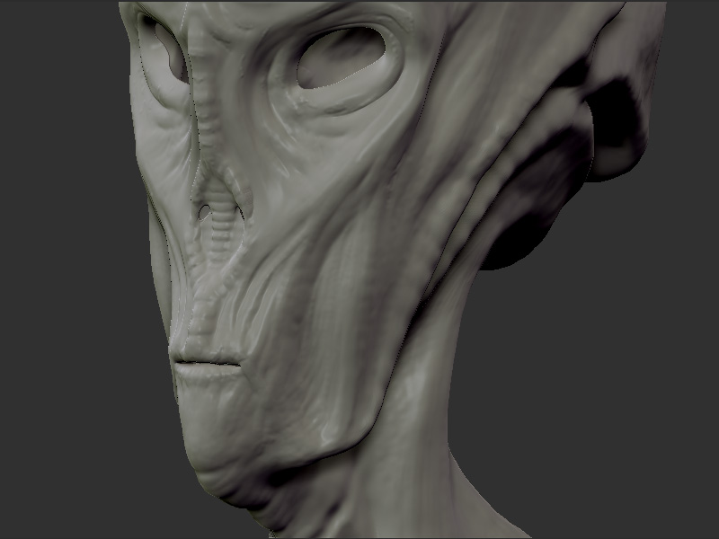 skin-close1.jpg