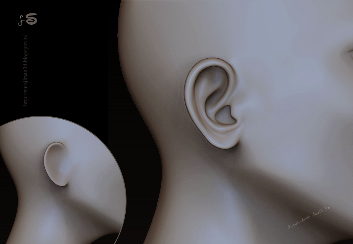 8_Ear_Quick_sculpt_Study_SurajitSen_111020174.JPG