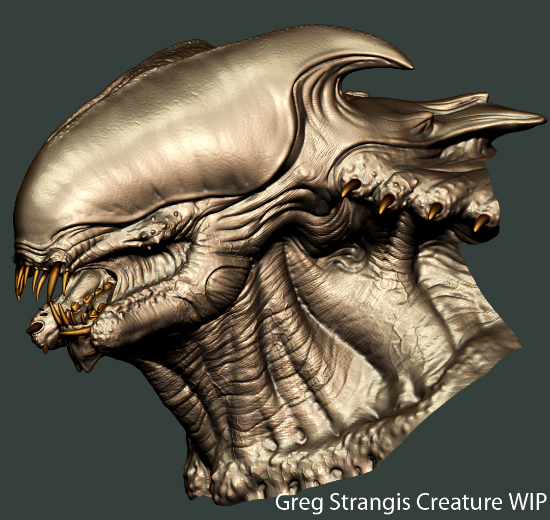Head-view1.jpg