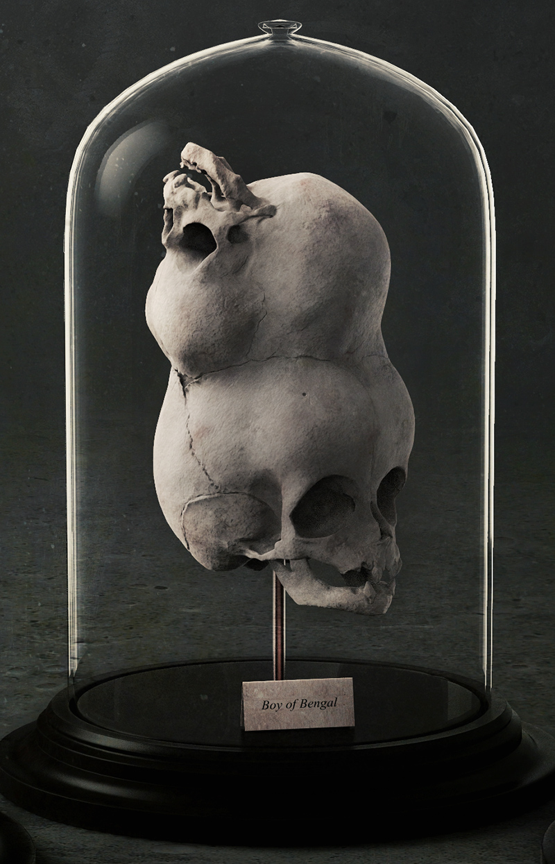 Hunterian Lament_Close_2.jpg