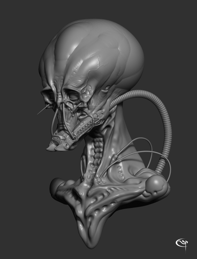 zbrush.jpg