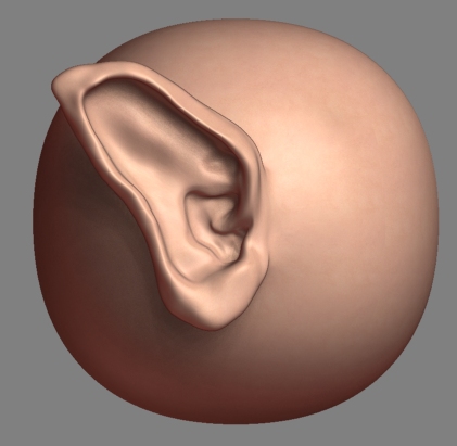 ear.jpg