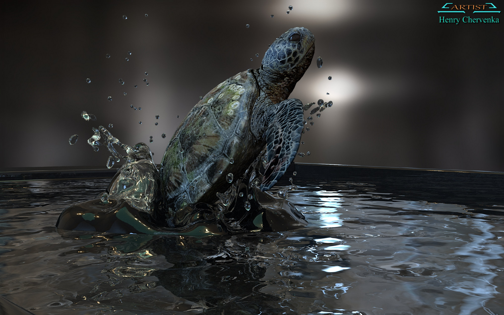 TURTLE_ZBC.jpg