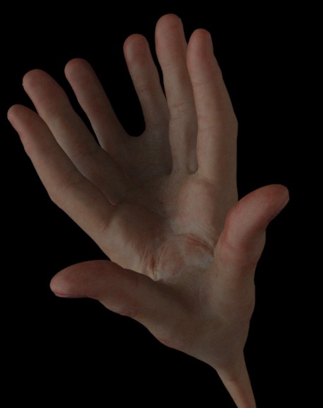 symmetry_a_01.jpg